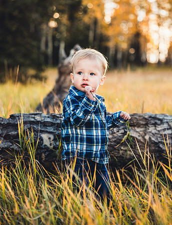 MC1A8569-1
