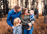 MC1A1577-1