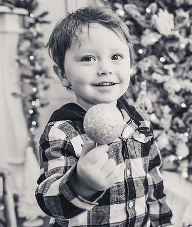 MC1A6681-1-2