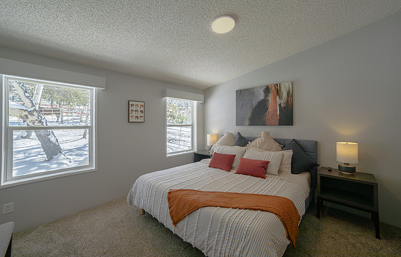 5M5A2731-Enhanced-NR