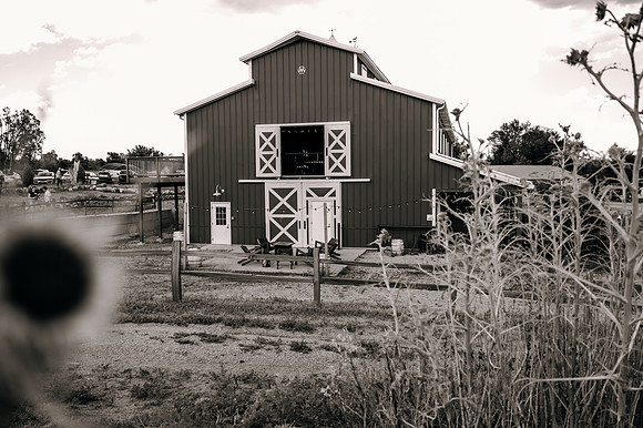 _DSC9516-2