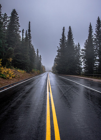 Foggy Roads