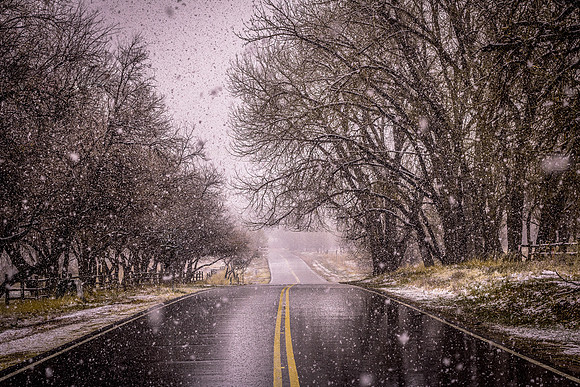 Winter Roads