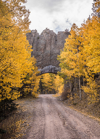 Fall Road 4