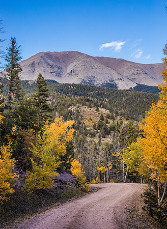 Fall Road 3