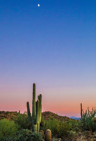 Arizona Sunset with Moon 3