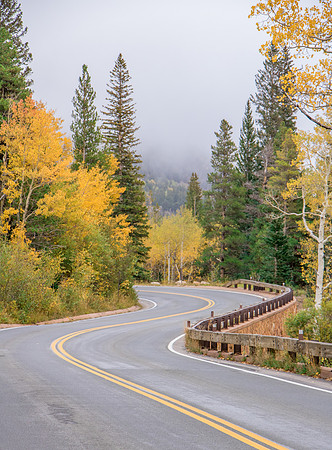 Winding Fall Road