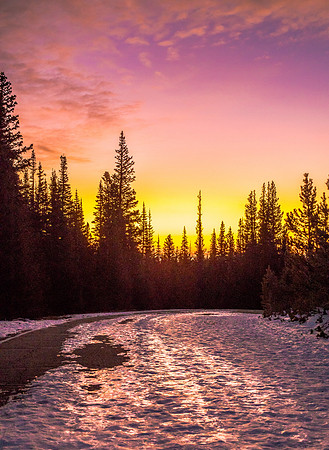 Icy Sunrise