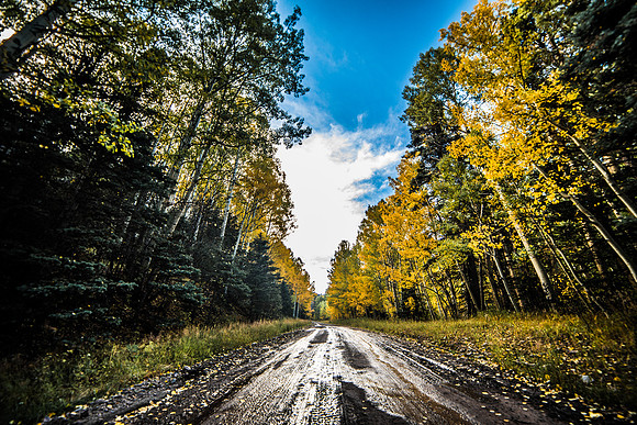 Fall Road 2