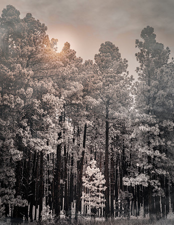 5M5A1570-Edit-2-Edit