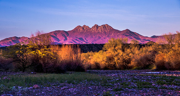 Pink Mountain Sunset - Arizona