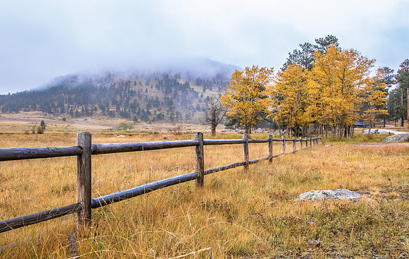 Fall Fence_