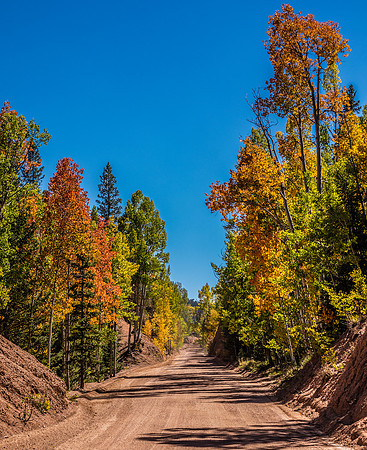 Old Stage RD Fall 2