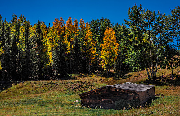 Fall Barn