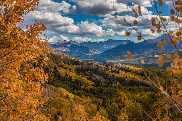 Last Dollar Rd Fall 5