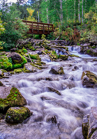 Summer Waterfall