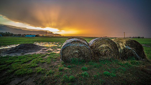 Farm Sunrise