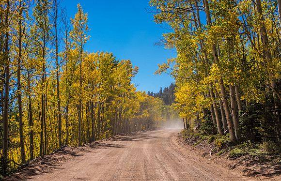 Old Stage RD Fall