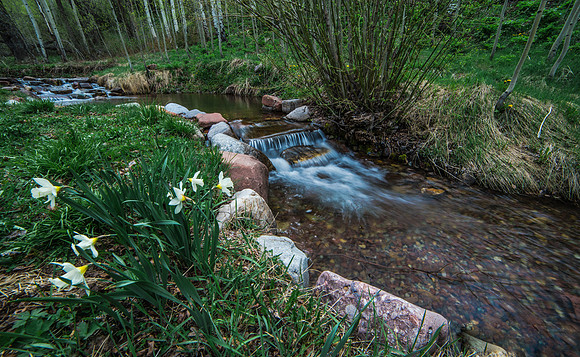 Spring Waterfall