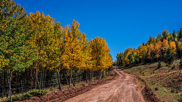Old Stage RD Fall 3