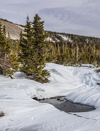 Snow Wisps