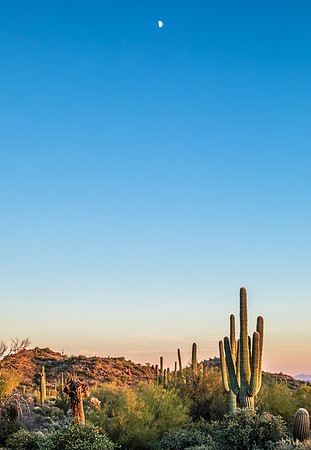 Arizona Sunset with Moon
