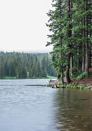Rainy Lake_