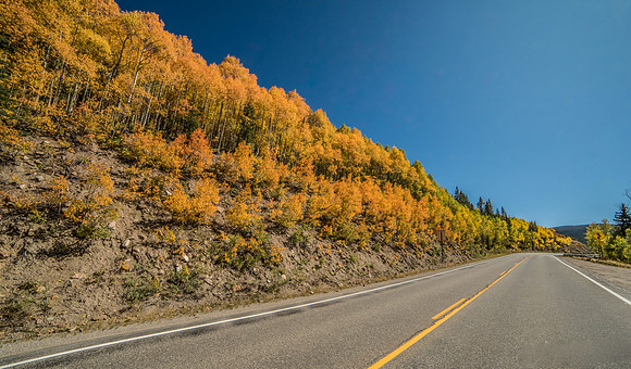 Fall Roads 4