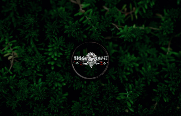 5M5A9875-Enhanced-NR