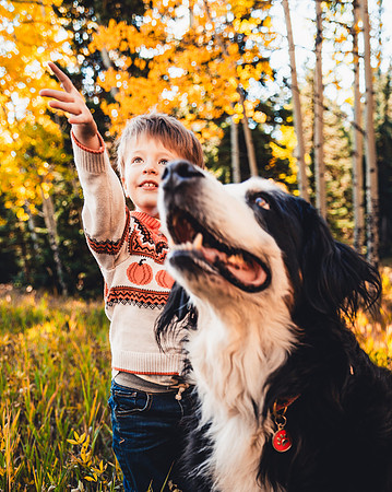 MC1A1991